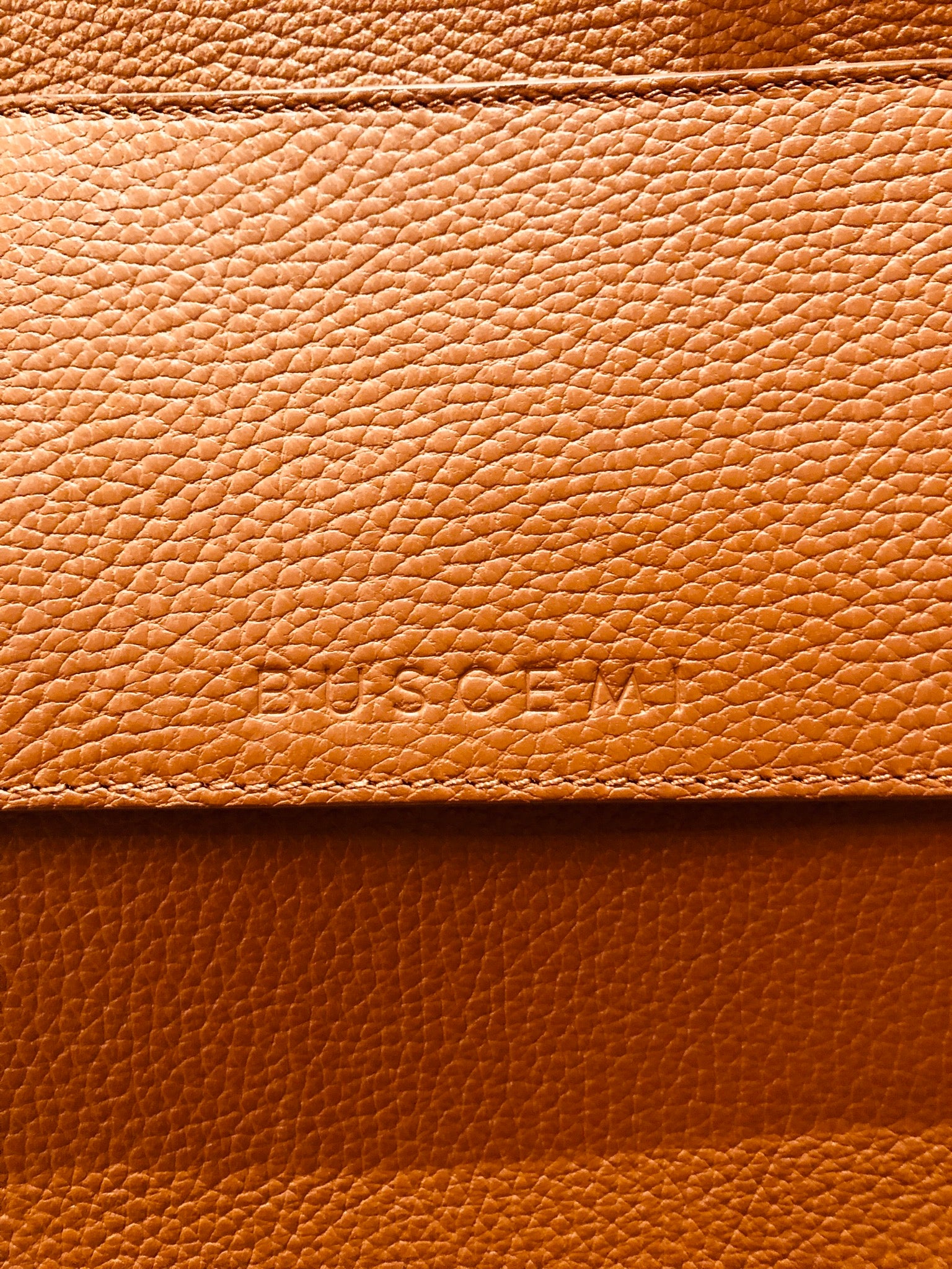Buscemi PHD Leather Backpack in Whiskey – Wopsters Closet